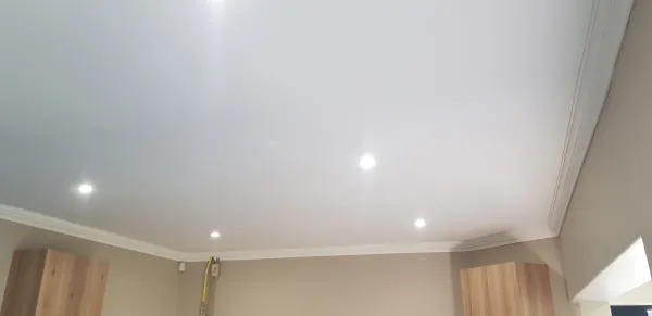 Flush plaster ceilings, cornice and downlights