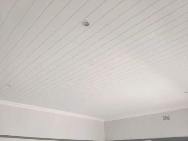 Foam board ceiling, Downlights & Cornice